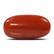 Natural Red Coral (Munga) Oval Cts 5.37 Ratti 5.91