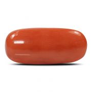 Natural Red Coral (Munga) Oval Cts 6.21 Ratti 6.83
