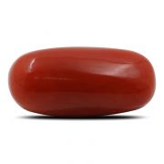 Natural Red Coral (Munga) Oval Cts 6.84 Ratti 7.52