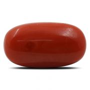 Natural Red Coral (Munga) Oval Cts 7.05 Ratti 7.76