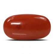Natural Red Coral (Munga) Oval Cts 7.05 Ratti 7.76