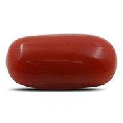 Natural Red Coral (Munga) Oval Cts 6.51 Ratti 7.16