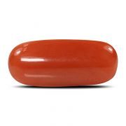 Natural Red Coral (Munga) Oval Cts 6.78 Ratti 7.46