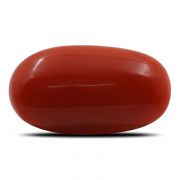 Natural Red Coral (Munga) Oval Cts 5.31 Ratti 5.84
