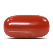 Natural Red Coral (Munga) Oval Cts 7.99 Ratti 8.79