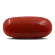 Natural Red Coral (Munga) Oval Cts 6.05 Ratti 6.66