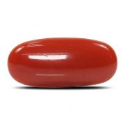 Natural Red Coral (Munga) Oval Cts 6.05 Ratti 6.66