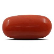 Natural Red Coral (Munga) Oval Cts 5.43 Ratti 5.97