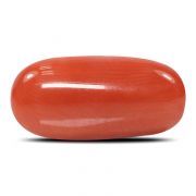 Natural Red Coral (Munga) Oval Cts 5.43 Ratti 5.97