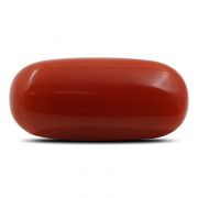 Natural Red Coral (Munga) Oval Cts 6.25 Ratti 6.88