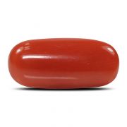 Natural Red Coral (Munga) Oval Cts 6.25 Ratti 6.88