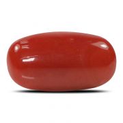 Natural Red Coral (Munga) Oval Cts 6.68 Ratti 7.35
