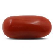 Natural Red Coral (Munga) Oval Cts 6 Ratti 6.6