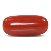 Natural Red Coral (Munga) Oval Cts 6.41 Ratti 7.05