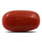 Natural Red Coral (Munga) Oval Cts 5.28 Ratti 5.81