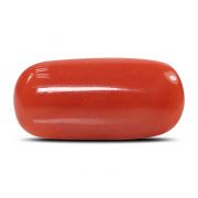 Natural Red Coral (Munga) Oval Cts 5.8 Ratti 6.38