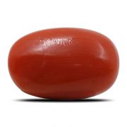 Natural Red Coral (Munga) Oval Cts 6.5 Ratti 7.15