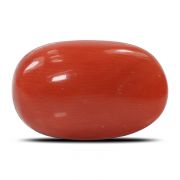 Natural Red Coral (Munga) Oval Cts 6.5 Ratti 7.15