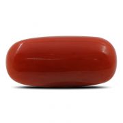 Natural Red Coral (Munga) Oval Cts 6.52 Ratti 7.17