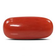 Natural Red Coral (Munga) Oval Cts 6.52 Ratti 7.17