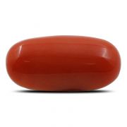 Natural Red Coral (Munga) Oval Cts 5.31 Ratti 5.84