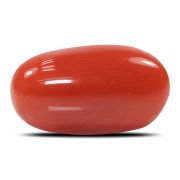 Natural Red Coral (Munga) Oval Cts 5.55 Ratti 6.11