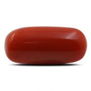 Natural Red Coral (Munga) Oval Cts 6.8 Ratti 7.48