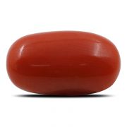 Natural Red Coral (Munga) Oval Cts 5.54 Ratti 6.09