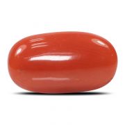 Natural Red Coral (Munga) Oval Cts 5.54 Ratti 6.09