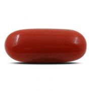 Natural Red Coral (Munga) Oval Cts 6.56 Ratti 7.22