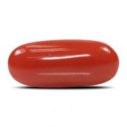 Natural Red Coral (Munga) Oval Cts 6.56 Ratti 7.22