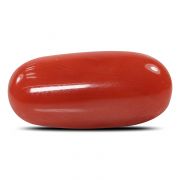 Natural Red Coral (Munga) Oval Cts 5.51 Ratti 6.06