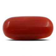 Natural Red Coral (Munga) Oval Cts 6.27 Ratti 6.9