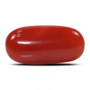 Natural Red Coral (Munga) Oval Cts 6.27 Ratti 6.9