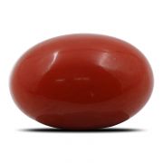 Natural Red Coral (Munga) Oval Cts 6.82 Ratti 7.5