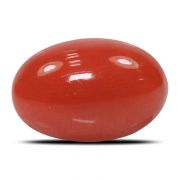 Natural Red Coral (Munga) Oval Cts 6.82 Ratti 7.5