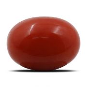 Natural Red Coral (Munga) Oval Cts 5.08 Ratti 5.59