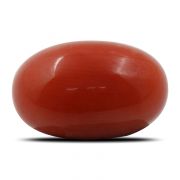 Natural Red Coral (Munga) Oval Cts 6.36 Ratti 7