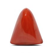 Natural Red Coral (Munga) Triangular Cts 8.11 Ratti 8.91
