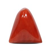 Natural Red Coral (Munga) Triangular Cts 7.26 Ratti 7.98
