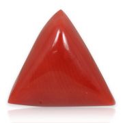 Natural Red Coral (Munga) Triangular Cts 5.64 Ratti 6.2