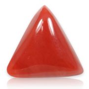 Natural Red Coral (Munga) Triangular Cts 5.62 Ratti 6.18