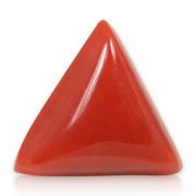 Natural Red Coral (Munga) Triangular Cts 5.88 Ratti 6.47