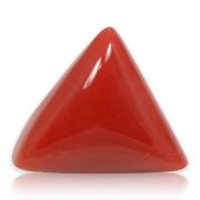 Natural Red Coral (Munga) Triangular Cts 5.53 Ratti 6.08