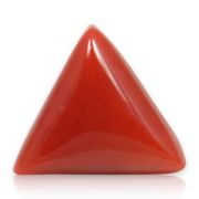 Natural Red Coral (Munga) Triangular Cts 5.44 Ratti 5.98