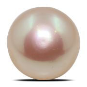Pink Fresh Water Pearl (Moti) Cts 6.87 Ratti 7.56
