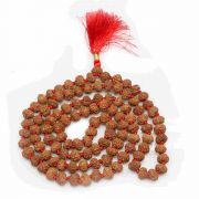 7 Mukhi Rudraksha Mala (Indonesia) (108+1 Beads) GJSPC Certified