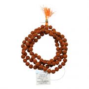 Original 5 Mukhi Rudraksha Jaap Mala (108+1 Beads) GJSPC Certified 5.50 - 6.00 M.M.