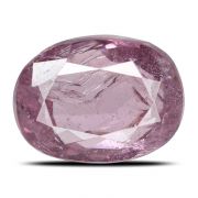 Red Spinel Cts 7 Ratti 7.7
