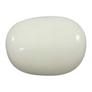 Buy White Coral (Safed Moonga) Stone at Best Price |Rashi Ratan Bhagya